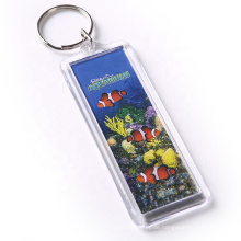 Fabrikpreis hochwertiger kundenspezifischer Form -Key -Ring -Sammler -Souvenir -Acryl -Schlüsselkette